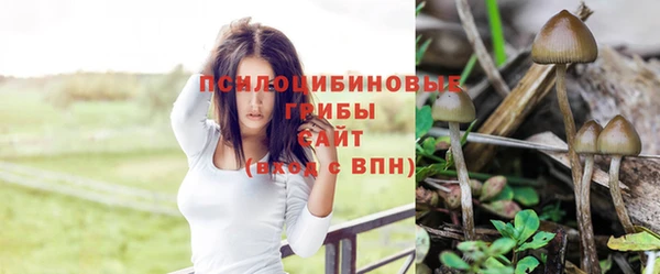 скорость Баксан