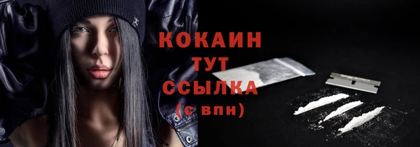 2c-b Бикин