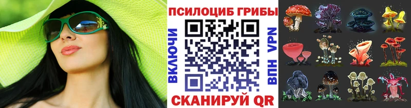 купить hydra ССЫЛКА Псилоцибиновые грибы ЛСД Беломорск
